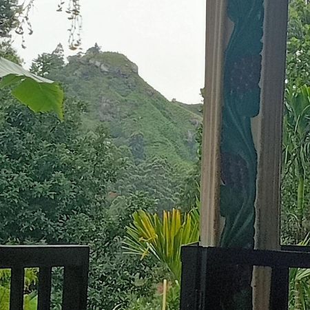 小阿达穆斯美景住宿加早餐旅馆 埃拉 外观 照片