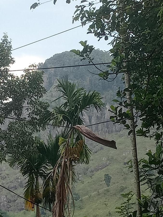 小阿达穆斯美景住宿加早餐旅馆 埃拉 外观 照片